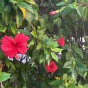 ヒメ日記 2025/10/17 18:19 投稿 るる ぐっすり山田　大阪店