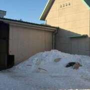 ヒメ日記 2026/01/20 00:09 投稿 るる ぐっすり山田　大阪店