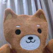 ヒメ日記 2025/09/15 19:19 投稿 すみれ ぐっすり山田　大阪店