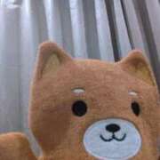 ヒメ日記 2025/09/17 18:19 投稿 すみれ ぐっすり山田　大阪店