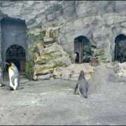 ヒメ日記 2025/07/03 19:46 投稿 すみれ SAPPORO ばつぐんnet