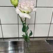 ヒメ日記 2025/06/28 14:22 投稿 みどり DIVA-ディーバ-【DIVAグループ】