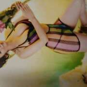 ヒメ日記 2025/12/09 11:31 投稿 富士　つばめ しゅうかつ倶楽部