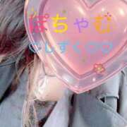 ヒメ日記 2025/06/03 16:05 投稿 しずく 宮崎ちゃんこ都城店