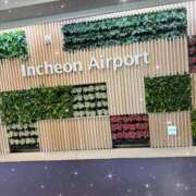 ヒメ日記 2025/11/11 15:17 投稿 あいか【理性崩壊Ｆカップ】 ポニーテール和歌山店