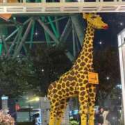 ヒメ日記 2025/11/24 18:02 投稿 あいか【理性崩壊Ｆカップ】 ポニーテール和歌山店