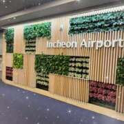 ヒメ日記 2026/01/08 08:02 投稿 あいか【理性崩壊Ｆカップ】 ポニーテール和歌山店