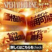 ヒメ日記 2026/03/13 15:34 投稿 あいか【理性崩壊Ｆカップ】 ポニーテール和歌山店