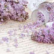 ヒメ日記 2025/08/23 22:29 投稿 橘こいと 癒されるワイフ