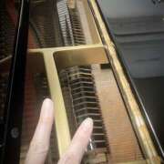 ヒメ日記 2025/09/22 19:32 投稿 橘こいと 癒されるワイフ