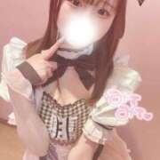 ヒメ日記 2025/06/05 01:03 投稿 はな 今こそ!にゃんにゃん学園