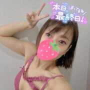 実咲(みさき) 最終日❣️ チューリップ宇都宮店