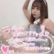 ヒメ日記 2025/12/10 01:31 投稿 せな Honey Trap