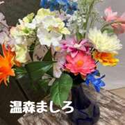 ヒメ日記 2025/06/09 07:30 投稿 温森ましろ 五十路マダム富山店(カサブランカグループ)