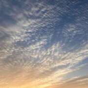 ヒメ日記 2025/06/18 07:42 投稿 温森ましろ 五十路マダム富山店(カサブランカグループ)