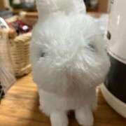 ヒメ日記 2025/07/18 06:58 投稿 温森ましろ 五十路マダム富山店(カサブランカグループ)