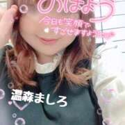 ヒメ日記 2025/11/04 09:54 投稿 温森ましろ 五十路マダム富山店(カサブランカグループ)