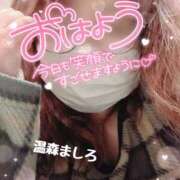 ヒメ日記 2025/11/21 09:56 投稿 温森ましろ 五十路マダム富山店(カサブランカグループ)