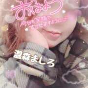 ヒメ日記 2025/11/24 09:32 投稿 温森ましろ 五十路マダム富山店(カサブランカグループ)