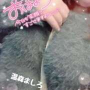 ヒメ日記 2025/12/09 08:32 投稿 温森ましろ 五十路マダム富山店(カサブランカグループ)