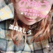 ヒメ日記 2025/12/26 08:26 投稿 温森ましろ 五十路マダム富山店(カサブランカグループ)