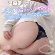 ヒメ日記 2026/01/11 17:16 投稿 温森ましろ 五十路マダム富山店(カサブランカグループ)