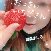 ヒメ日記 2026/01/16 12:48 投稿 温森ましろ 五十路マダム富山店(カサブランカグループ)