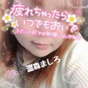 ヒメ日記 2026/02/05 17:58 投稿 温森ましろ 五十路マダム富山店(カサブランカグループ)