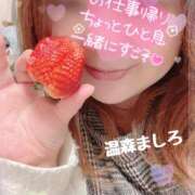 ヒメ日記 2026/02/06 18:06 投稿 温森ましろ 五十路マダム富山店(カサブランカグループ)