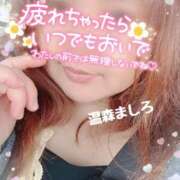 ヒメ日記 2026/02/17 12:00 投稿 温森ましろ 五十路マダム富山店(カサブランカグループ)