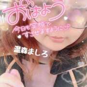 ヒメ日記 2026/02/26 10:00 投稿 温森ましろ 五十路マダム富山店(カサブランカグループ)