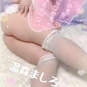 ヒメ日記 2026/03/14 13:06 投稿 温森ましろ 五十路マダム富山店(カサブランカグループ)