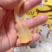 ヒメ日記 2026/03/25 17:20 投稿 温森ましろ 五十路マダム富山店(カサブランカグループ)