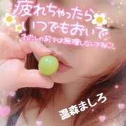 ヒメ日記 2026/04/07 15:58 投稿 温森ましろ 五十路マダム富山店(カサブランカグループ)