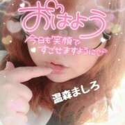 ヒメ日記 2026/04/12 09:14 投稿 温森ましろ 五十路マダム富山店(カサブランカグループ)