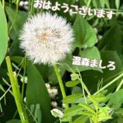 ヒメ日記 2026/05/07 06:52 投稿 温森ましろ 五十路マダム富山店(カサブランカグループ)