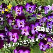 ヒメ日記 2026/05/11 07:30 投稿 温森ましろ 五十路マダム富山店(カサブランカグループ)