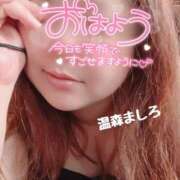 ヒメ日記 2026/05/20 08:18 投稿 温森ましろ 五十路マダム富山店(カサブランカグループ)