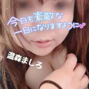 ヒメ日記 2026/06/12 11:14 投稿 温森ましろ 五十路マダム富山店(カサブランカグループ)