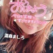 ヒメ日記 2026/09/17 09:16 投稿 温森ましろ 五十路マダム富山店(カサブランカグループ)