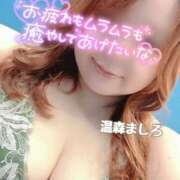 ヒメ日記 2026/09/20 10:30 投稿 温森ましろ 五十路マダム富山店(カサブランカグループ)