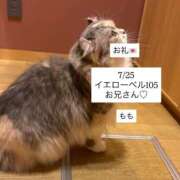 ヒメ日記 2025/07/28 02:16 投稿 もも 太田人妻城