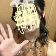 ヒメ日記 2025/09/04 07:16 投稿 ほの 東京妻next (京都グループ)