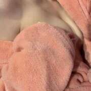 ヒメ日記 2025/09/23 16:57 投稿 チサト ドMなバニーちゃん大宮店