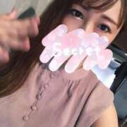 ヒメ日記 2025/07/19 15:29 投稿 ひまわり シルクハット