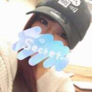 ヒメ日記 2025/11/14 18:52 投稿 ひまわり シルクハット