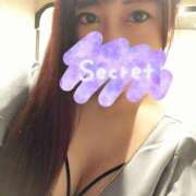 ヒメ日記 2025/11/20 19:36 投稿 ひまわり シルクハット