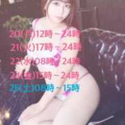 ヒメ日記 2026/04/20 07:48 投稿 ひまわり シルクハット