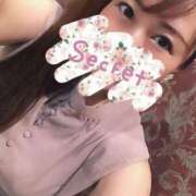ヒメ日記 2026/06/23 13:36 投稿 ひまわり シルクハット