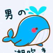 ヒメ日記 2026/07/15 16:23 投稿 ひまわり シルクハット
